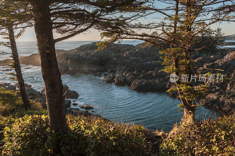 野生太平洋步道，Ucluelet, B.C.